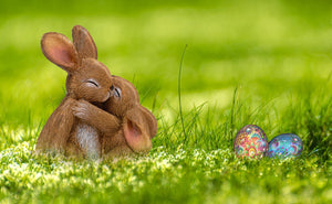Every 'bunny' loves bunnies at Easter [Infographic]
